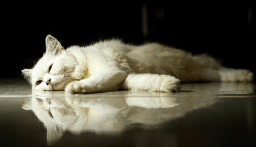 疲れていないのに疲れている感じ