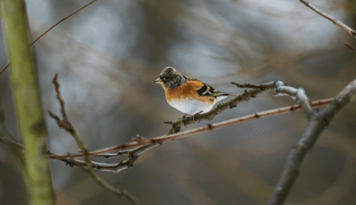 動く前に「見えているか」で結果は変わる