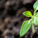 特別なことをしなくても、パフォーマンスを上げることは可能です