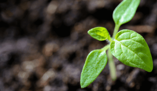 特別なことをしなくても、パフォーマンスを上げることは可能です