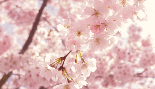 下のソーシャルリンクからフォロー